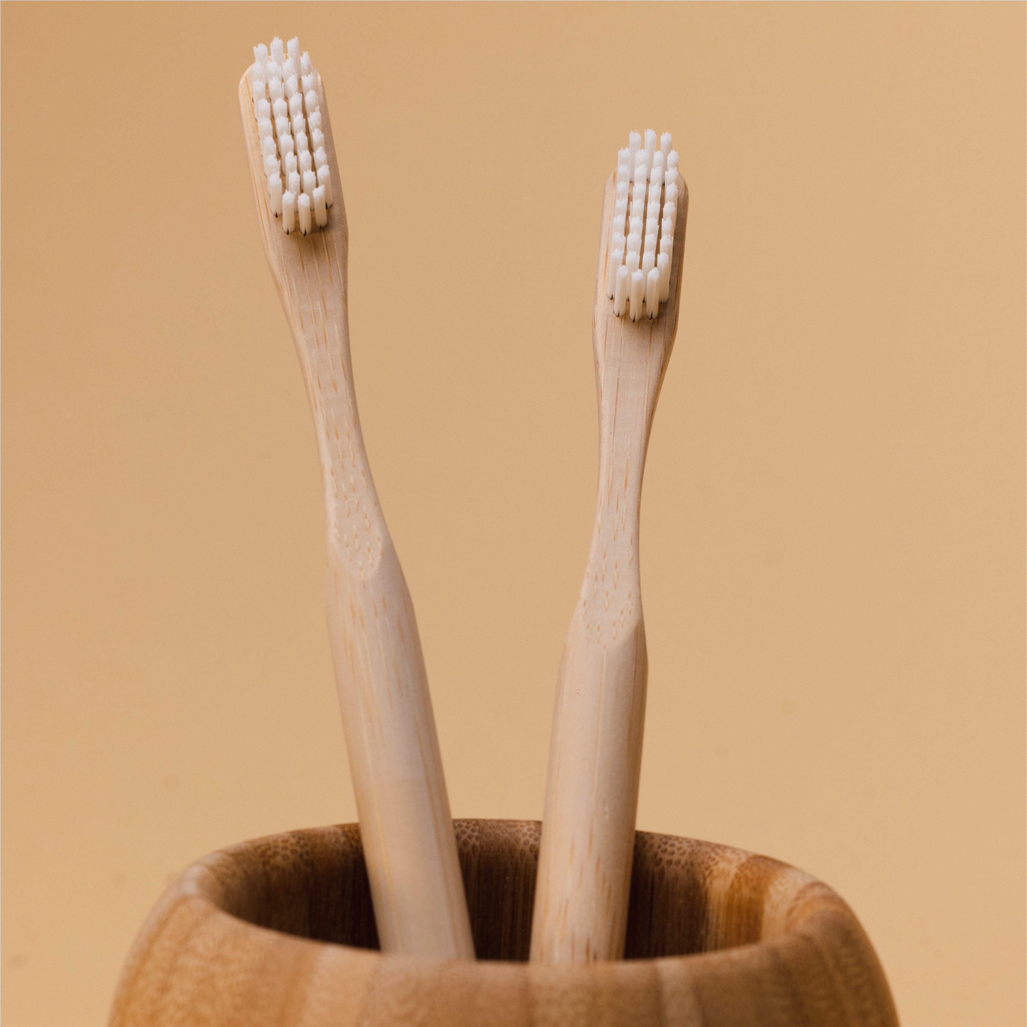 brush_club image